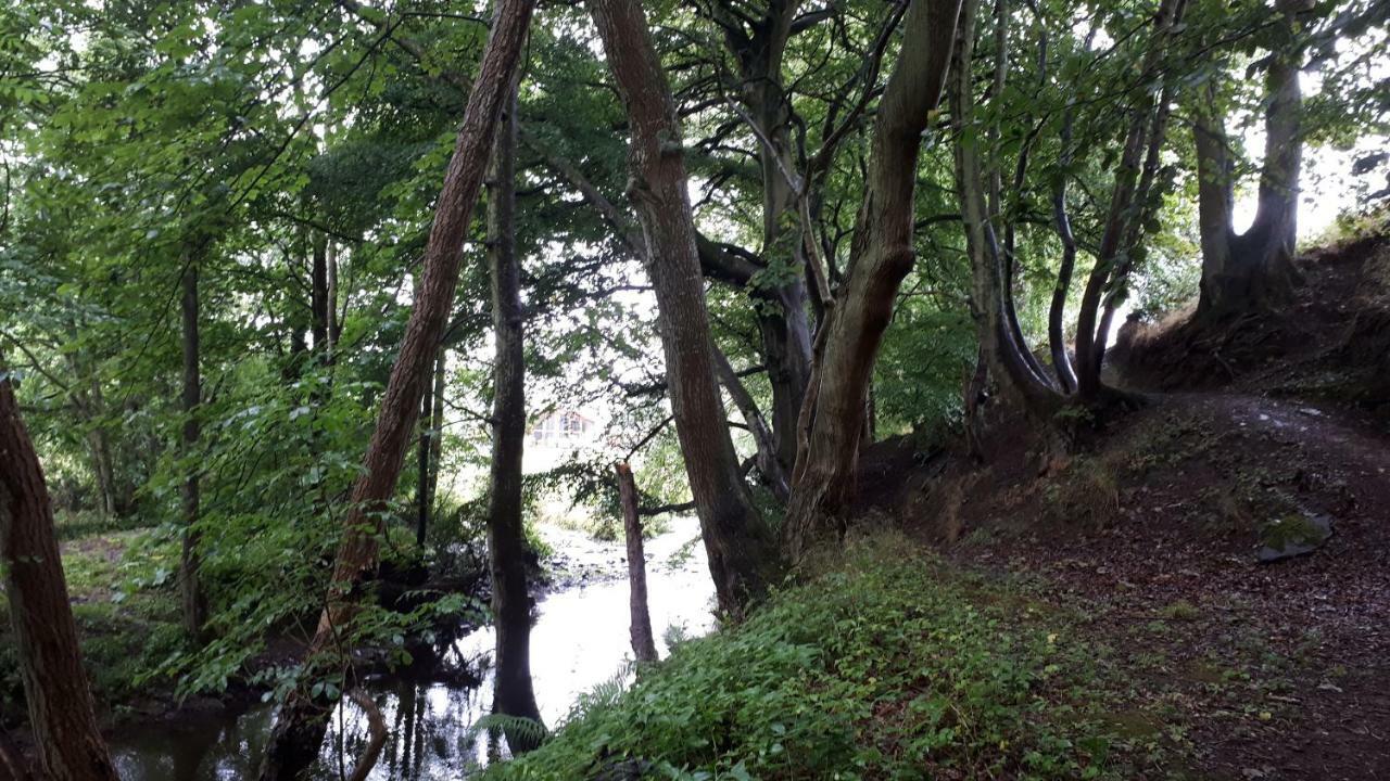 Hunter Lodgeアウキテラーダー エクステリア 写真